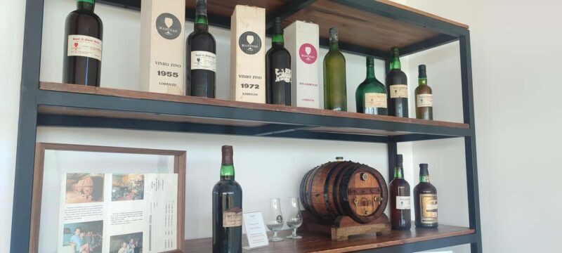 Douro: Martha's Harvest - DOC Wine Tour and Tasting - Key Points