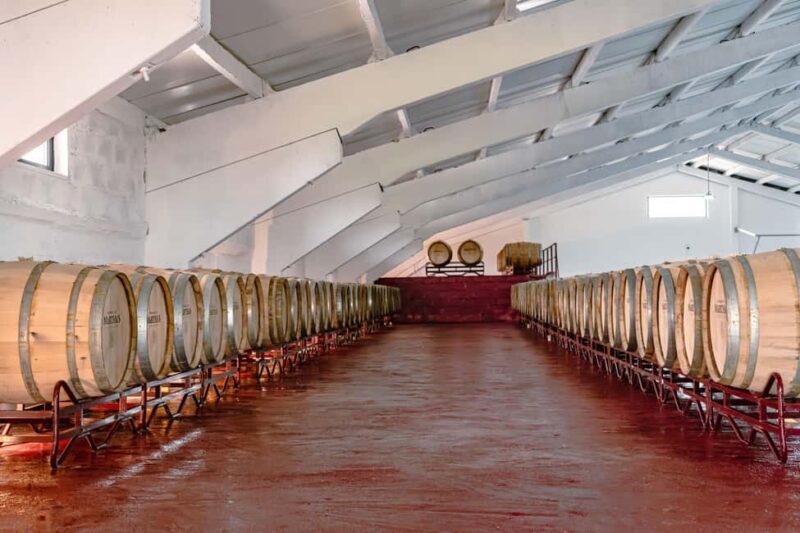 Douro: Martha's Selection - Premium Wine Tour and Tasting - Key Points