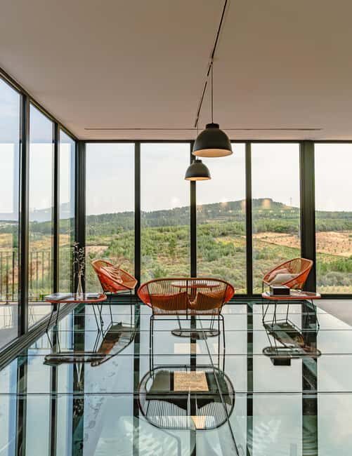 Douro: Martha's Selection - Premium Wine Tour and Tasting - An In-Depth Look at the Tour Experience