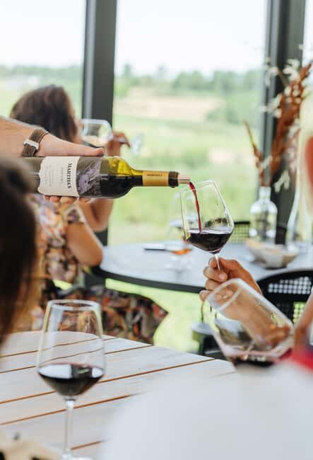 Douro: Martha's Selection - Premium Wine Tour and Tasting - Who Is This Tour Best For?