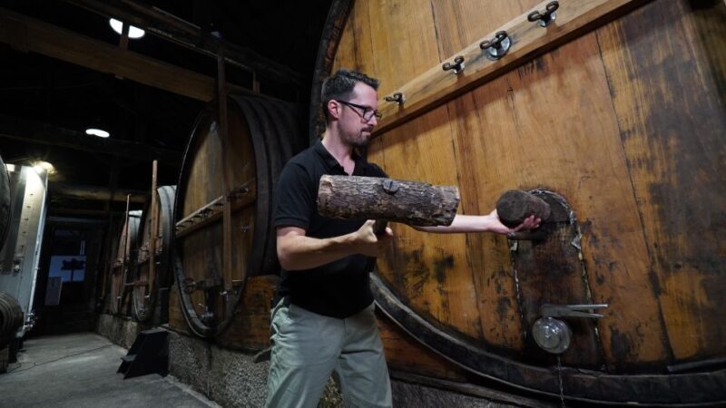 Douro: Porto Wine Tasting with Guided Tour - The Experience in Detail