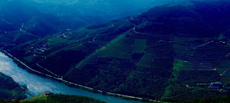DOURO PREMIUM - Final Thoughts: Is This Tour Right for You?