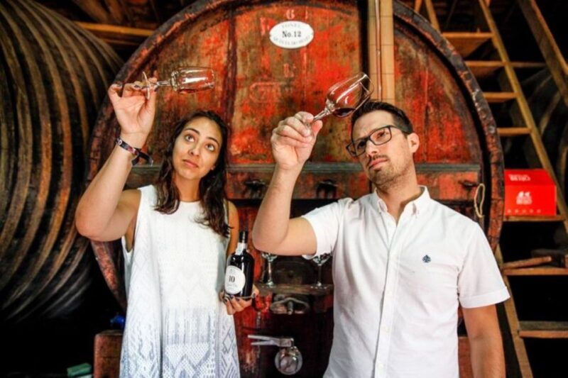 Douro: Premium Wine Tasting and Tapas Tour - Final Thoughts