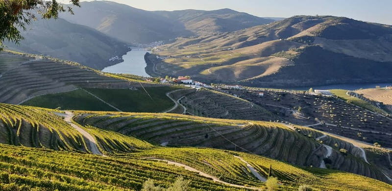 Douro Private Tour  Customizable Experience - Key Points