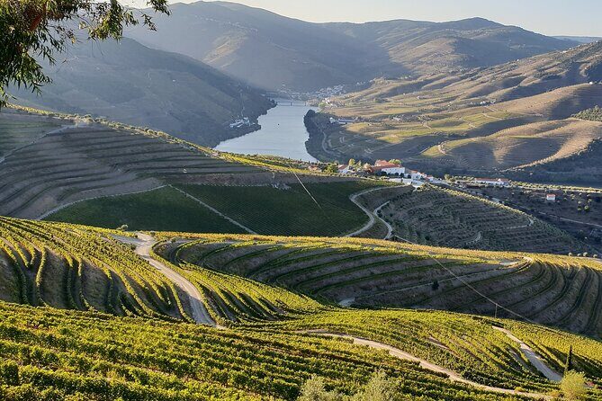 Douro Private Tour  Customizable Experience - The Sum Up