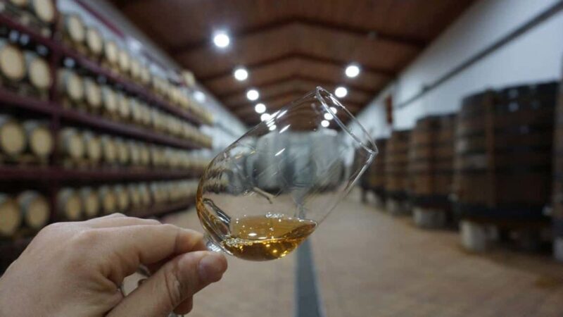 Douro: Quinta Levandeira do Roncão Tour & Wine Tasting - Key Points