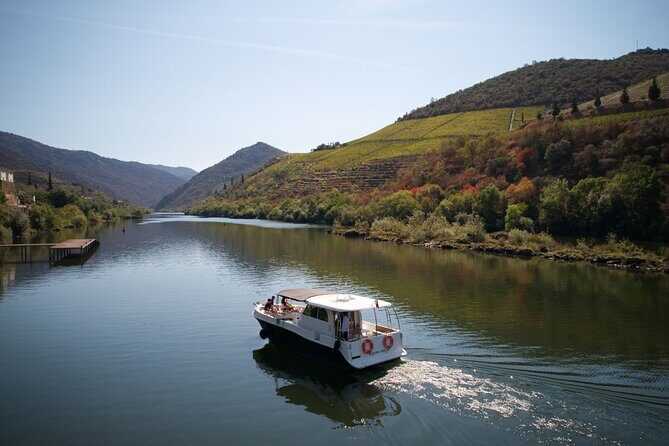 Douro River Cruise - Private River Cruise - Pinhão 1 Hour - The Itinerary in Detail