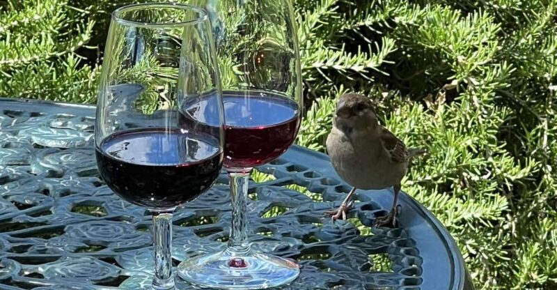 Douro Tour: Wine Tastings, Boat Ride & Manor House Lunch - Key Points