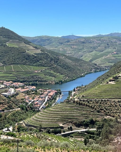 Douro Tour: Wine Tastings, Boat Ride & Manor House Lunch - Hands-On Experience and Authenticity