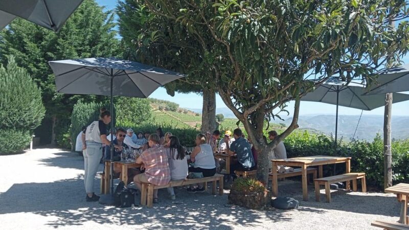 Douro Tour with Wine Tasting and Visit to Lamego and Pinhão - Discovering the Douro: A Closer Look