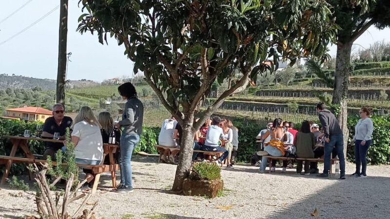 Douro Tour with Wine Tasting and Visit to Lamego and Pinhão - Final Thoughts