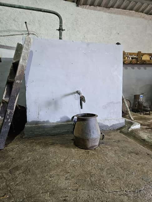 Douro: Traditional Harvest Lunch at Quinta de Sobre a Fonte - Key Points