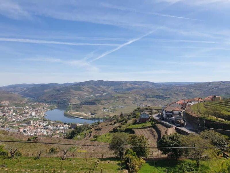 Douro: Traditional Harvest Lunch at Quinta de Sobre a Fonte - An In-Depth Look at the Douro Harvest Lunch Tour