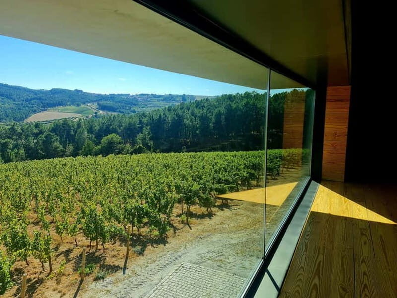 Douro Valley: A Day in Douro Valley Tasting The Best Wines - The Sum Up