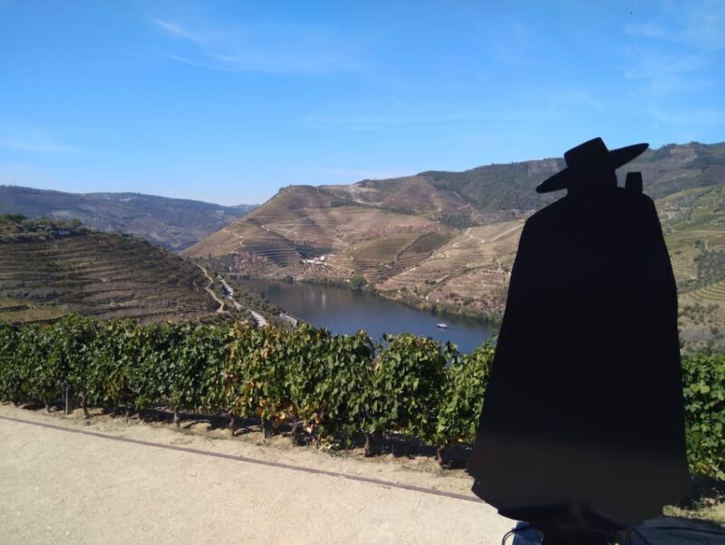 Douro Valley & Amarante - from Porto, Braga or Guimarães - Key Points