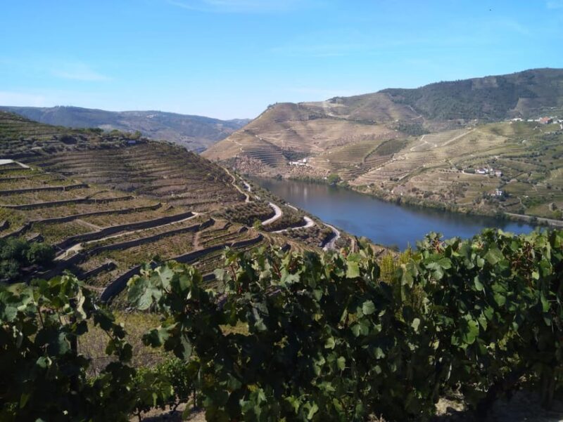 Douro Valley & Amarante - from Porto, Braga or Guimarães - A Deep Dive into the Douro Valley & Amarante Tour