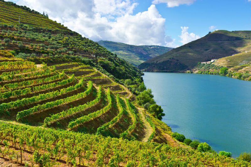 Douro Valley & Amarante - from Porto, Braga or Guimarães - Final Thoughts: Who Will Love This Tour?