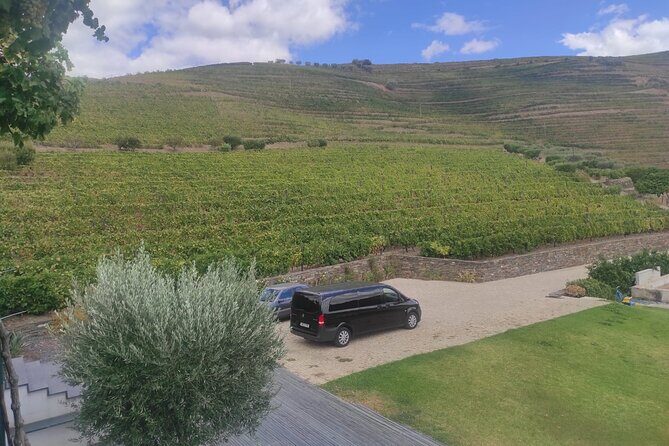 Douro Valley amazing wine Tours - The Itinerary in Detail