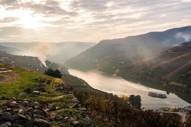 Douro Valley and Régua Panoramic Cruise with Lunch from Porto - Authentic Guest Insights