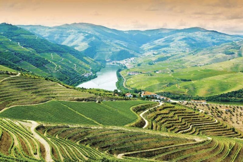 Douro Valley: Cruise & vineyard discovery from Porto or Aveiro - What to Expect from the Itinerary
