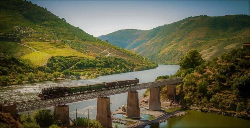 Douro Valley: Cruise & vineyard discovery from Porto or Aveiro - The Value of the Experience