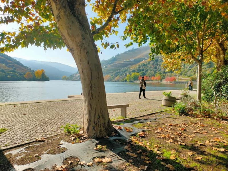 Douro Valley: Discover the Wine Region with Tastings. - Is This Tour Worth It?