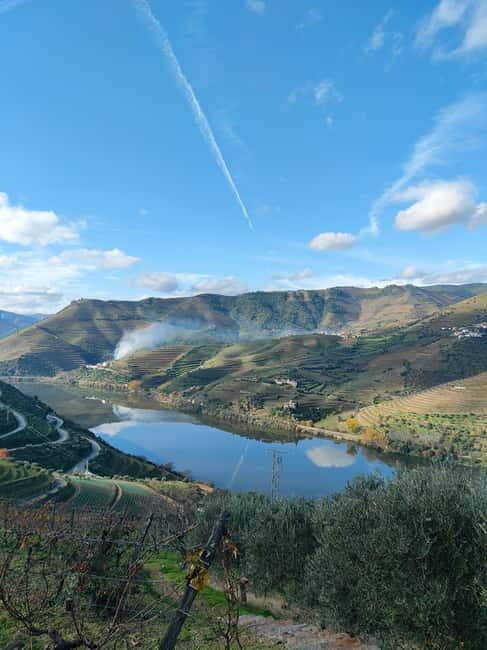 Douro Valley: Discover the Wine Region with Tastings. - The Sum Up