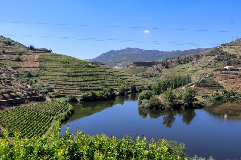 Douro Valley: Douro Valley Tour Including 3 Wineries - The Village of Pinhão and the Lunch Experience