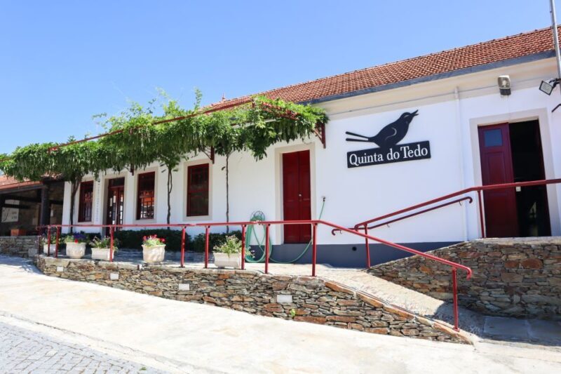 Douro Valley: Douro Valley Tour Including 3 Wineries - Transportation, Timing, and Group Size