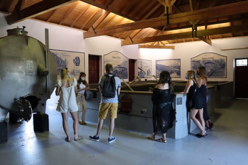 Douro Valley: Douro Valley Tour Including 3 Wineries - Price and Value