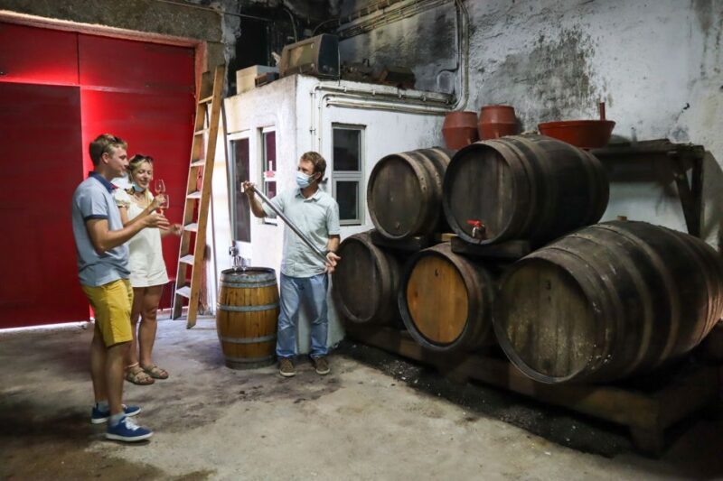 Douro Valley: Douro Valley Tour Including 3 Wineries - FAQ