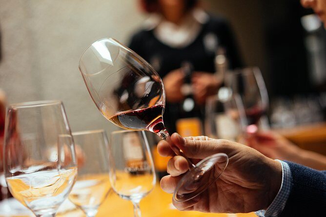 Douro Valley EXCLUSIVE Private Day Trip by Car with Boat Included - A Deep Dive into the Douro Valley Private Tour