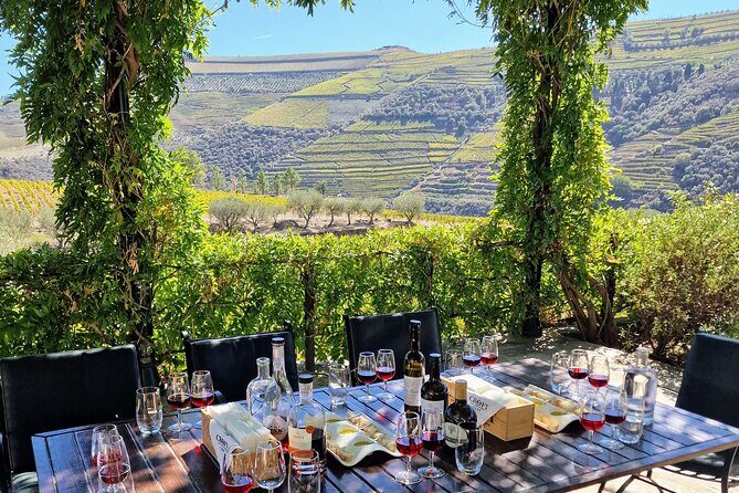 Douro Valley-Expert Guide-Boat-Lunch-Tastings Premium Service - A Deep Dive into the Douro Valley Tour