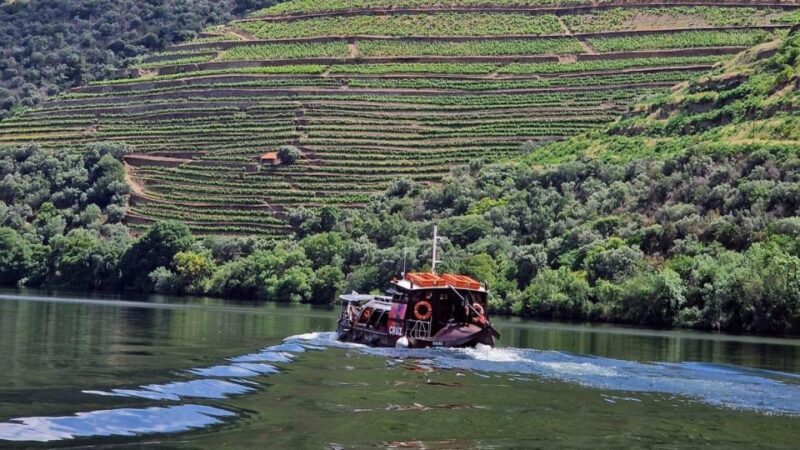 Douro Valley-Expert Guide-Boat-Lunch-Tastings PremiumService - Key Points