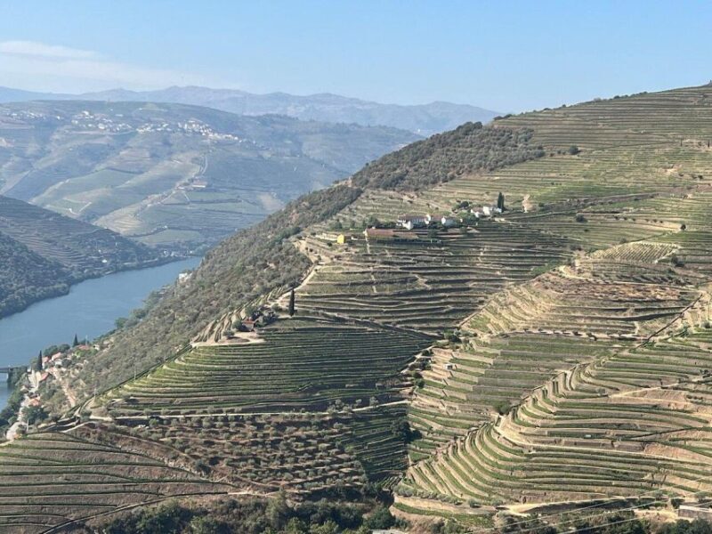 Douro Valley-Expert Guide-Boat-Lunch-Tastings PremiumService - The Final Word