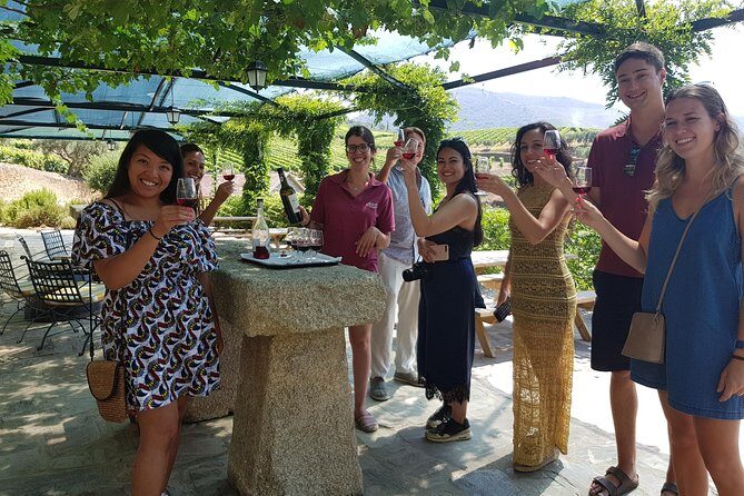 Douro Valley for Wine Lovers with Visit to 3 Vineyards and Lunch at a Winery - A Deep Dive into the Douro Valley Tour Experience