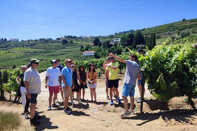 Douro Valley for Wine Lovers with Visit to 3 Vineyards and Lunch at a Winery - Who Should Consider This Tour?