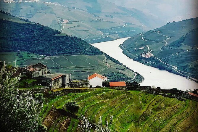 Douro Valley from Porto with Wineries, Lunch and Boat Trip - The Experience in Detail