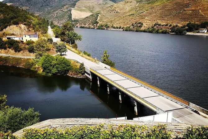 Douro Valley from Porto with Wineries, Lunch and Boat Trip - Accessibility and Practicalities