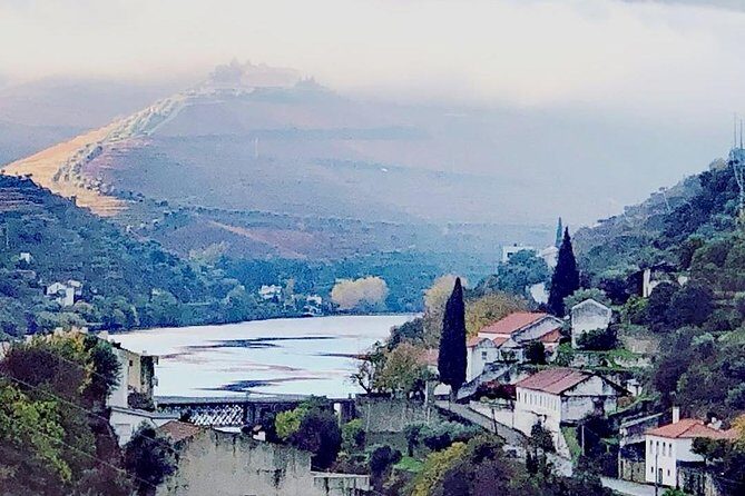 Douro Valley from Porto with Wineries, Lunch and Boat Trip - Who Will Love This Tour?