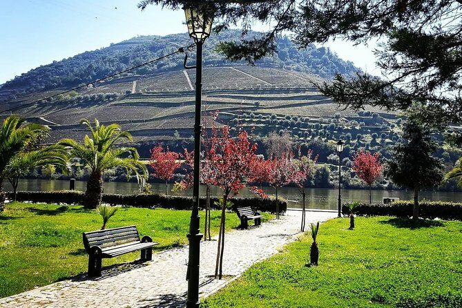 Douro Valley from Porto with Wineries, Lunch and Boat Trip - FAQ