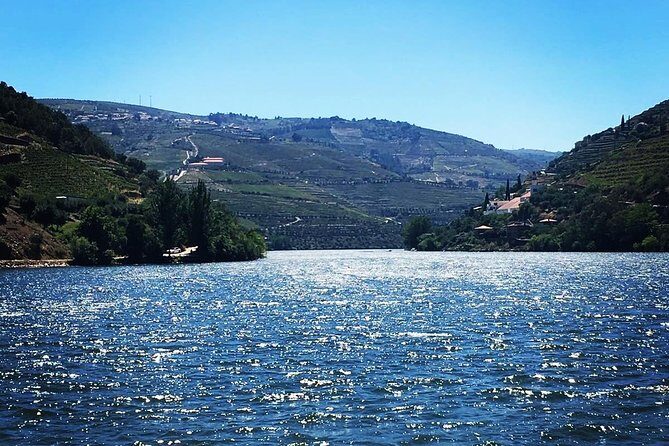Douro Valley from Porto with Wineries, Lunch and Boat Trip - Final Thoughts