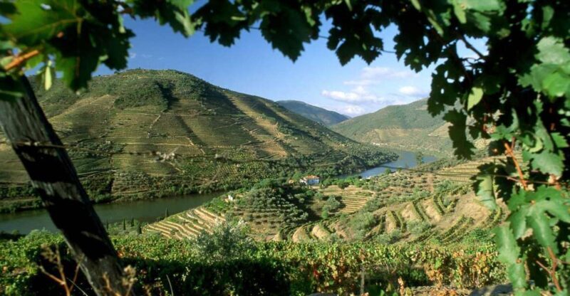 Douro Valley: Full-Day Private Tour from Porto - Key Points