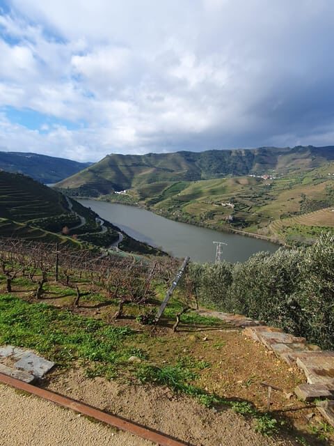 Douro Valley Full Day Tour From Lisbon - Key Points