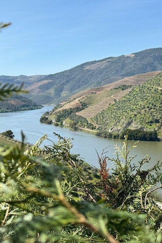 Douro Valley Full Day Tour From Lisbon - What to Expect During the Day