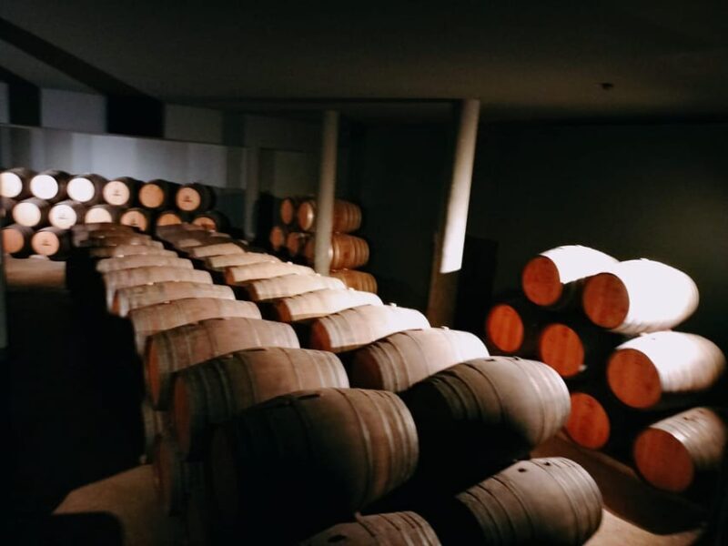 Douro Valley Full Day Tour From Lisbon - Analyzing the Value