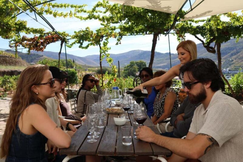Douro Valley: Half-Day, with 1 winery & 1-h boat tour - Deep Dive into What Makes This Experience Special