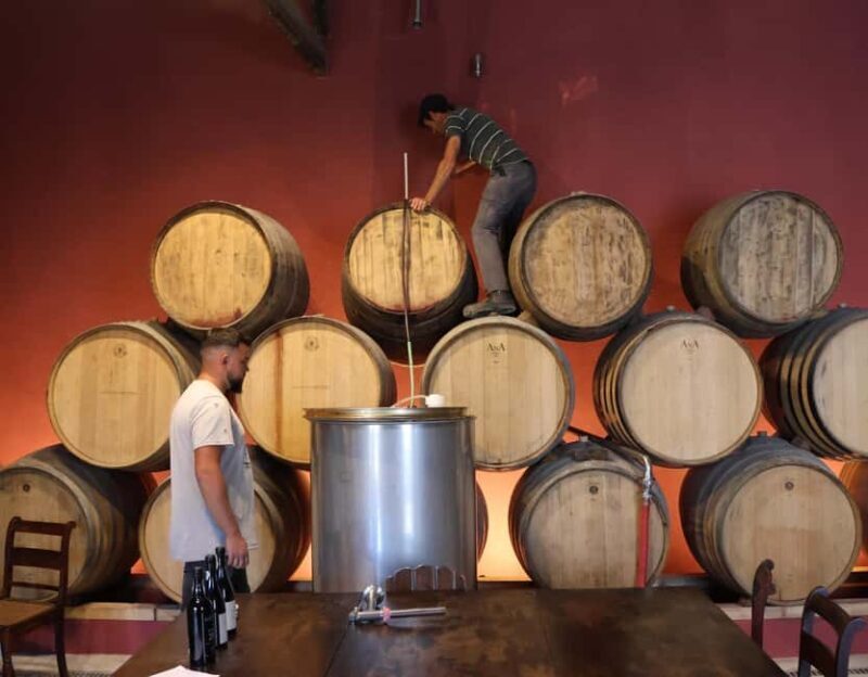 Douro Valley: Half-Day, with 1 winery & 1-h boat tour - Final Thoughts: Who Will Love This Tour?