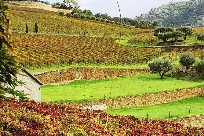Douro Valley in a Luxury Convertible Mercedes (only private events) - The Itinerary in Detail
