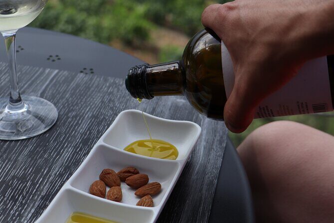 Douro Valley in a Tesla - An In-Depth Look at the Tour Experience